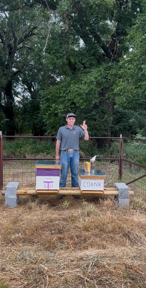 The Bees Have Landed at Tarleton 🐝💜