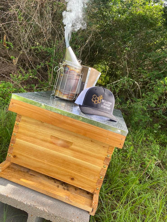 (PREORDER) 2026 Established Bee Colony