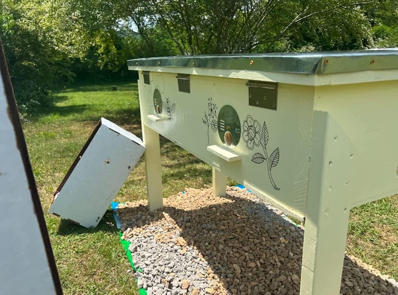 Bee Hive Entrance Disc