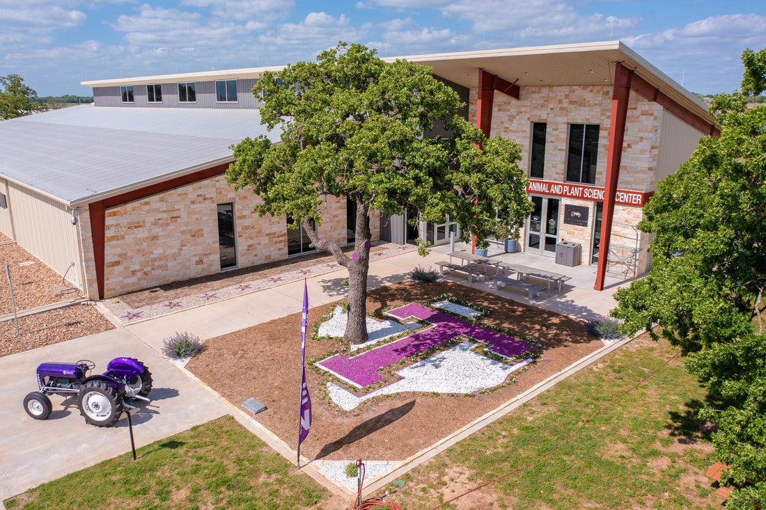 Bringing Bees to Tarleton: A Vision Turning Into Reality