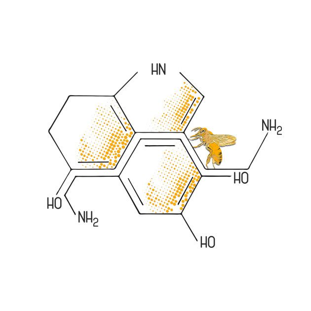 The Sweet Science: Exploring the Chemistry Behind Bees and Honey