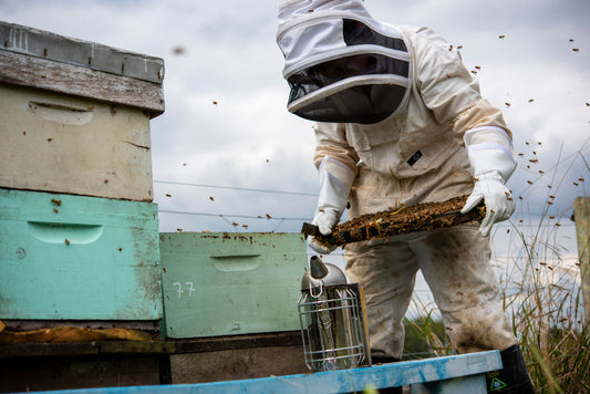 How Honey is Made: From Flower to Jar