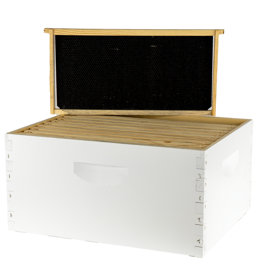 Assembled 9 5/8" Deep Hive Kit with Wax Coated Foundation and Frames