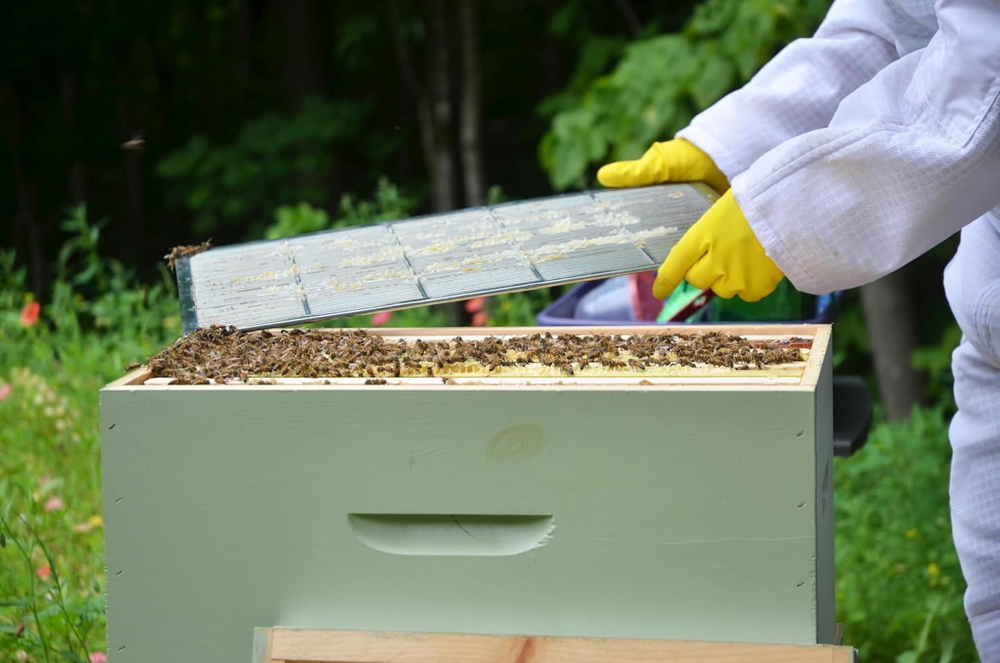 10-Frame Plastic Queen Bee Excluder