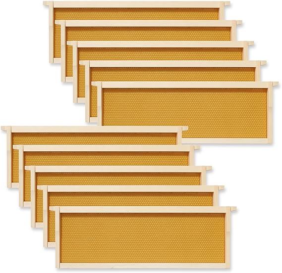 Natural Beeswax Dipped Plastic Foundation Super Frames (10-Pack)