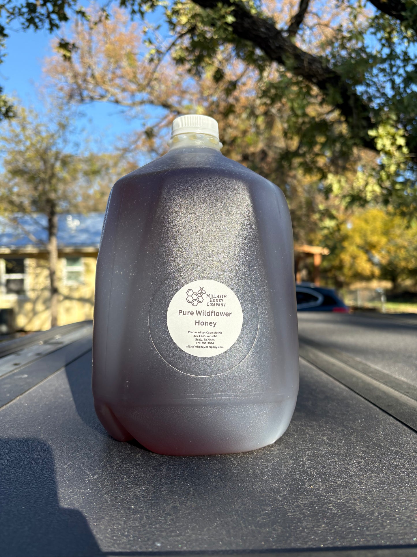 Gallon of Pure Wildflower Honey