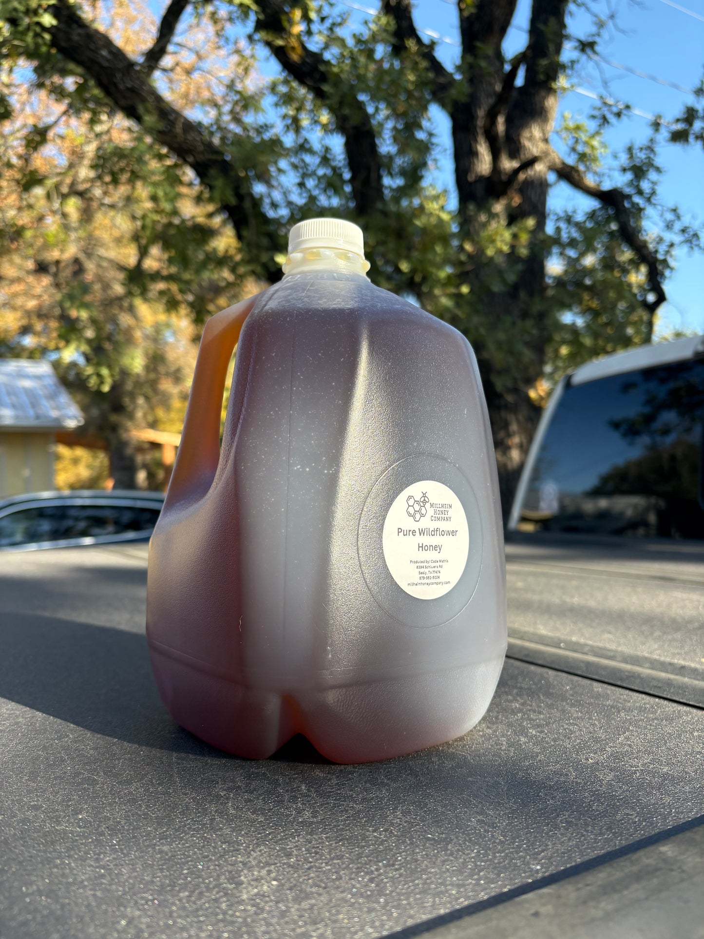 Gallon of Pure Wildflower Honey