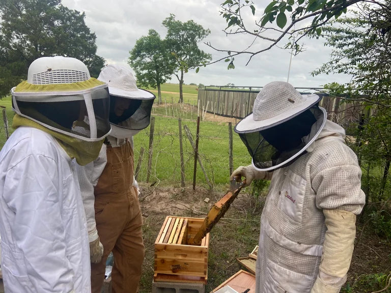 Beekeeper Consulting