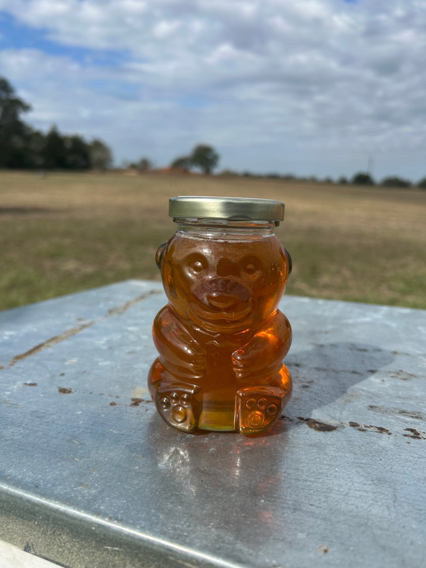 10oz Glass Bear Jar Pure Wildflower Honey