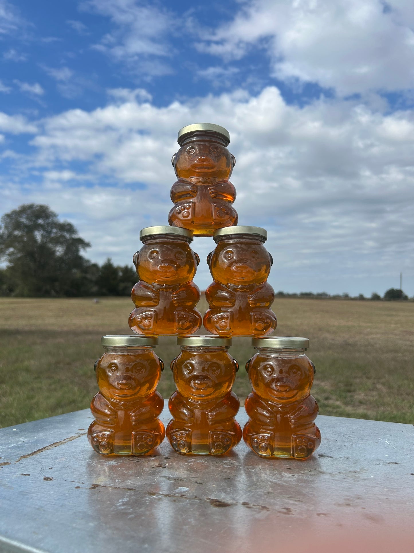 10oz Glass Bear Jar Pure Wildflower Honey