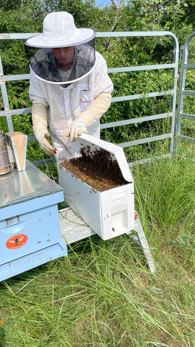 Beekeeper Consulting