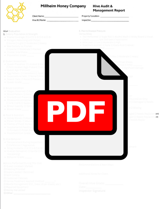 Beehive Audit & Management Report – Digital PDF