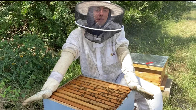 Beekeeper Consulting