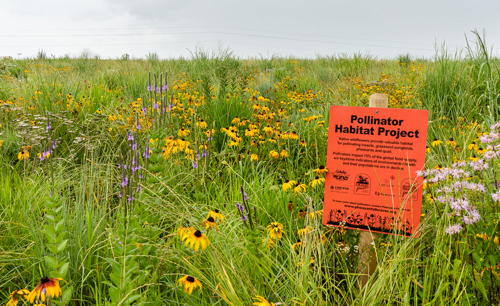 Pollinator Habitat Sponsorship